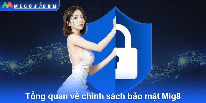 Tổng quan về chính sách bảo mật Mig8